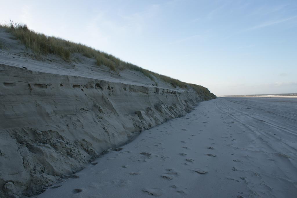 De Herbergh Van Flielant Vlieland Eksteriør billede